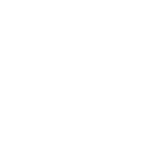 Welcome animation
